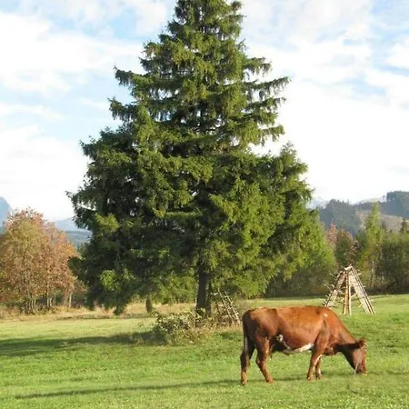 Muran דירה מורזאסיחלה